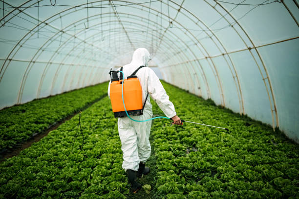 Best Emergency Pest Control  in Winnsboro, SC
