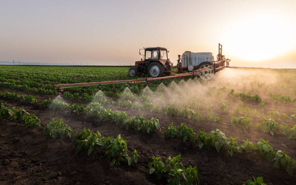 Best Pest Removal Services  in Winnsboro, SC