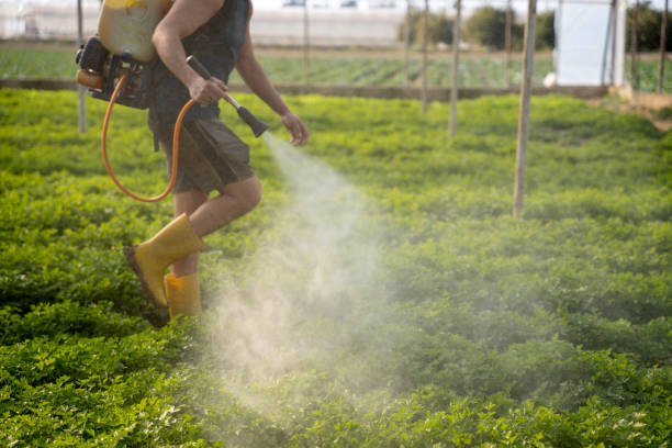Best Insect Control  in Winnsboro, SC