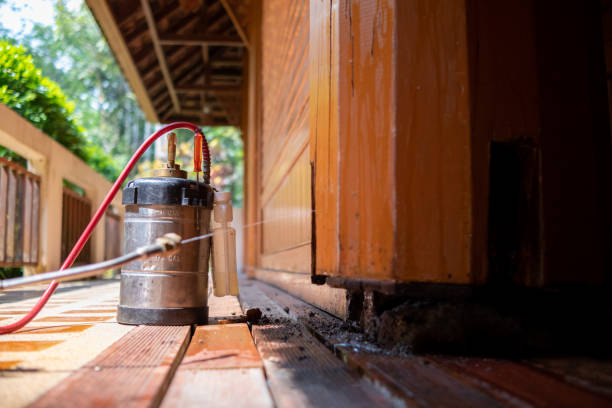 Best Cockroach Control Services  in Winnsboro, SC