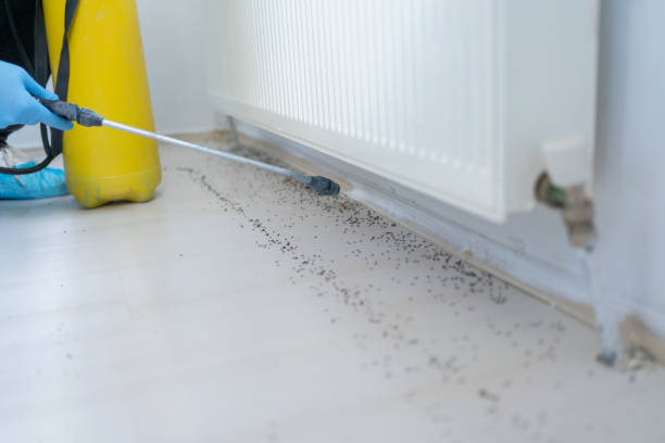Best Residential Pest Control  in Winnsboro, SC